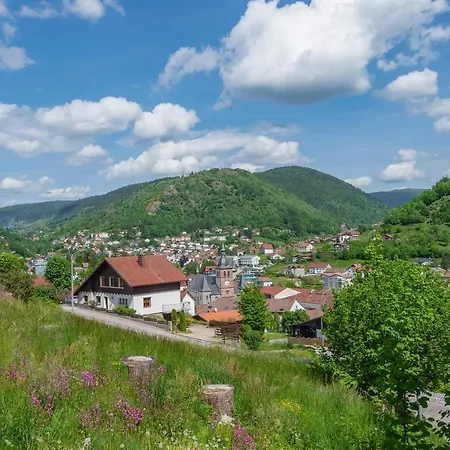 Le Planois Apartment