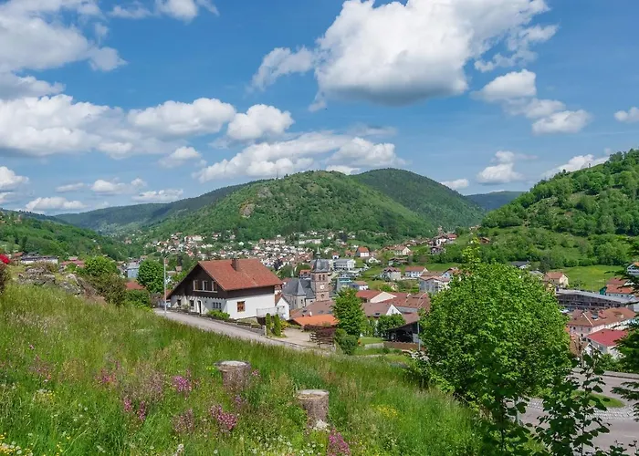 Le Planois Appartement